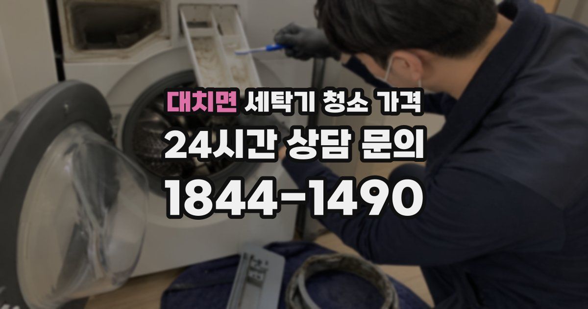 대치면 세탁기 청소 가격