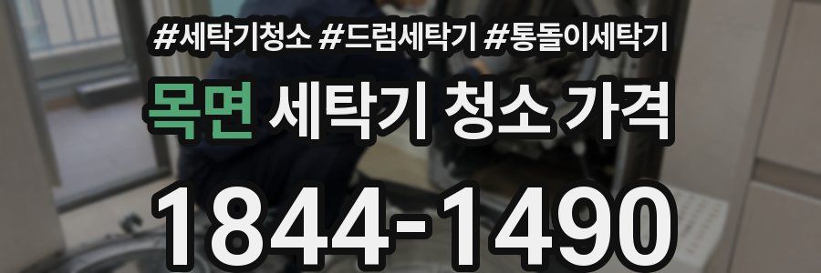 목면 세탁기 청소 가격