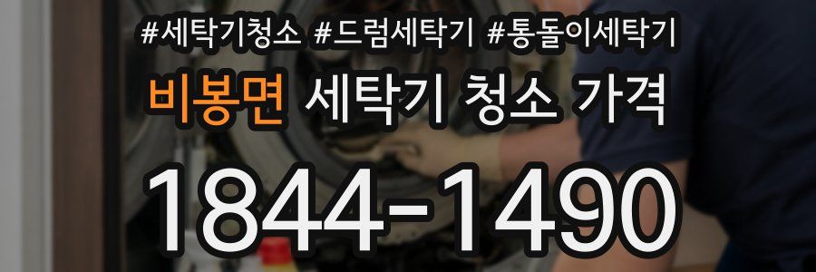 비봉면 세탁기 청소 가격