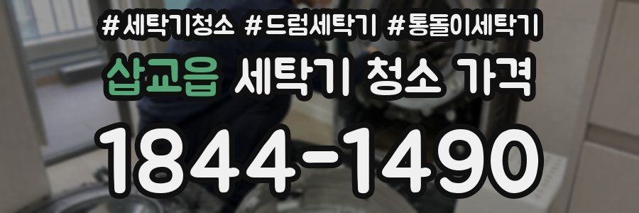 삽교읍 세탁기 청소 가격