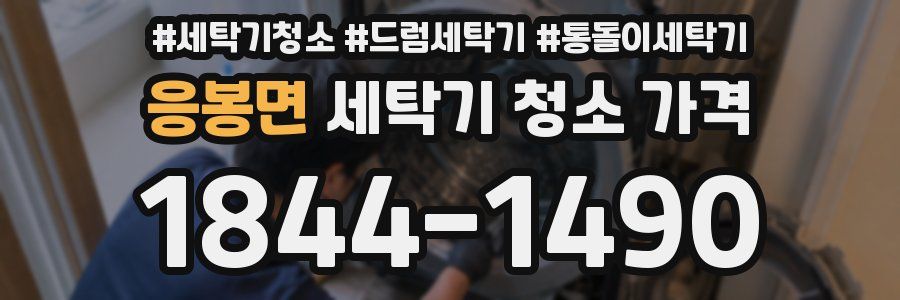 응봉면 세탁기 청소 가격
