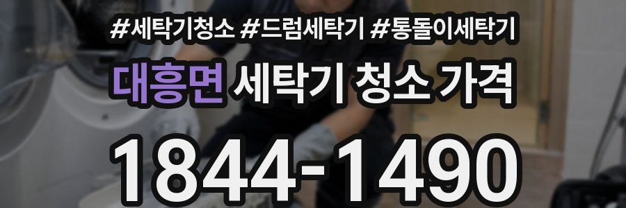 대흥면 세탁기 청소 가격