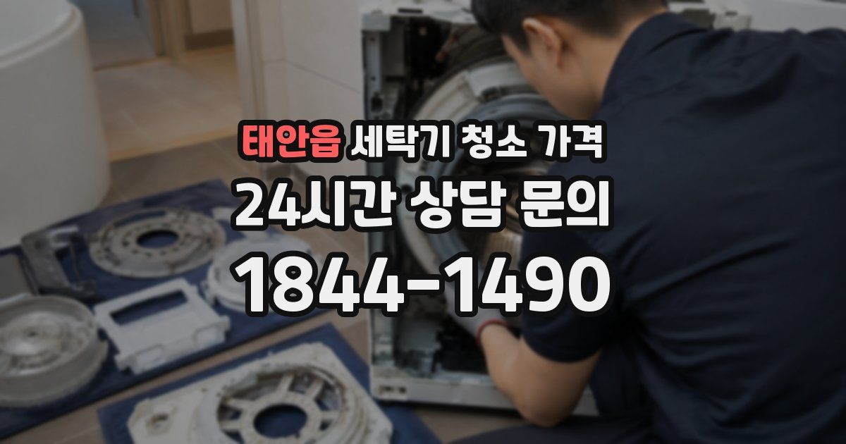 태안읍 세탁기 청소 가격