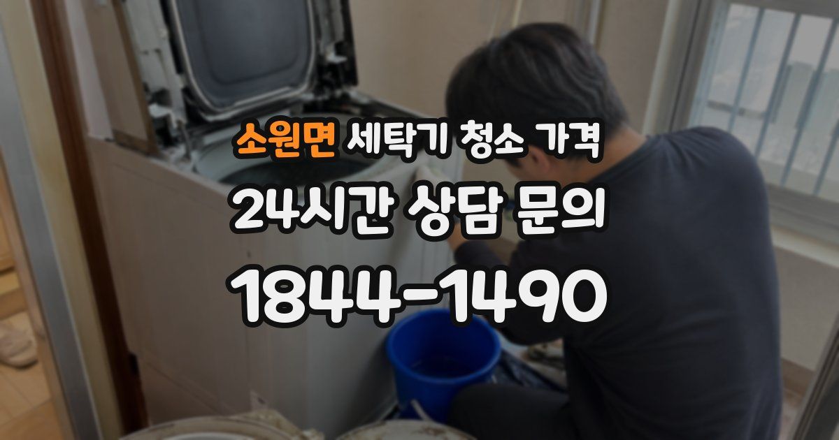 소원면 세탁기 청소 가격