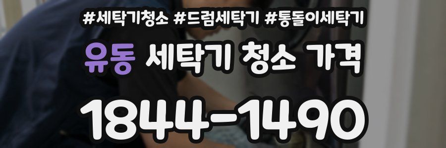 유동 세탁기 청소 가격