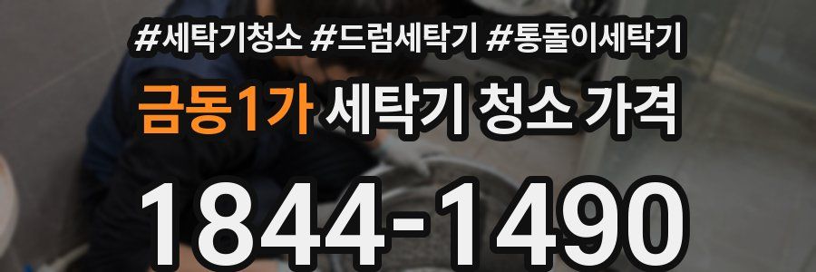 금동1가 세탁기 청소 가격