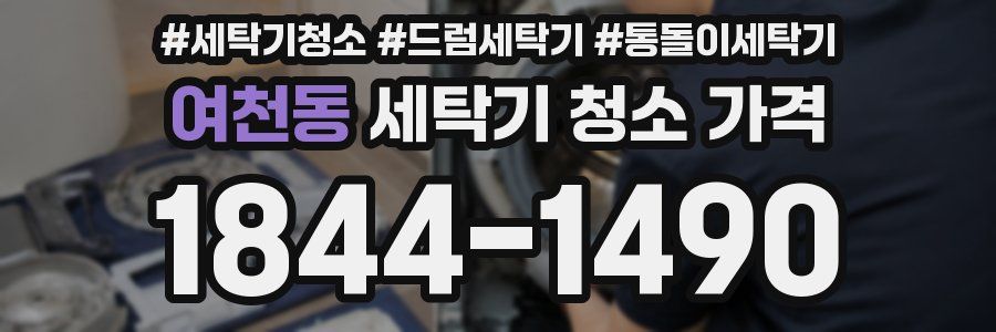 여천동 세탁기 청소 가격