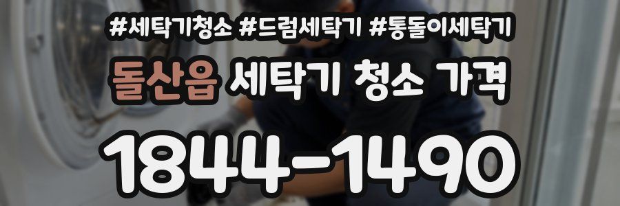 돌산읍 세탁기 청소 가격