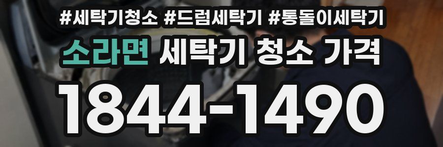 소라면 세탁기 청소 가격