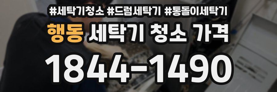 행동 세탁기 청소 가격
