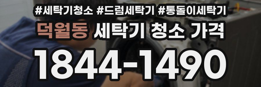 덕월동 세탁기 청소 가격