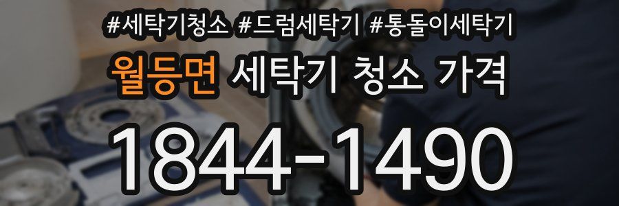 월등면 세탁기 청소 가격