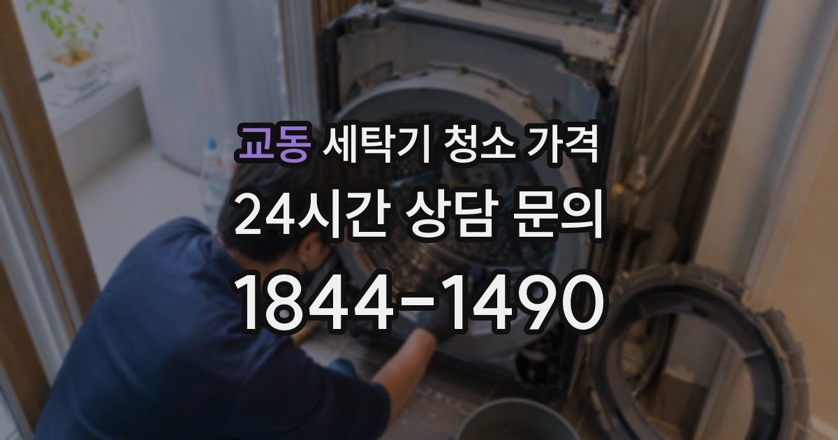 교동 세탁기 청소 가격