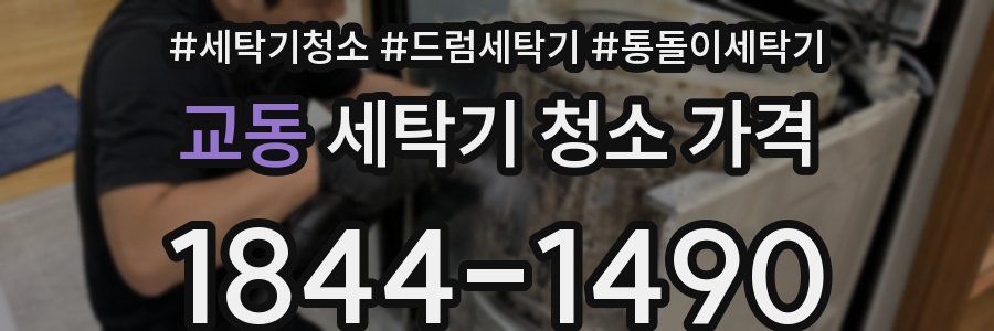 교동 세탁기 청소 가격