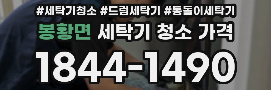 봉황면 세탁기 청소 가격