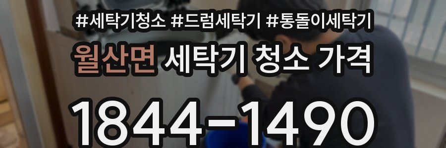 월산면 세탁기 청소 가격