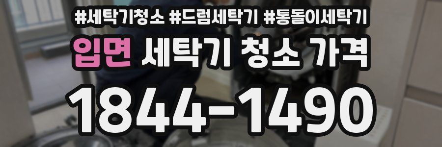 입면 세탁기 청소 가격