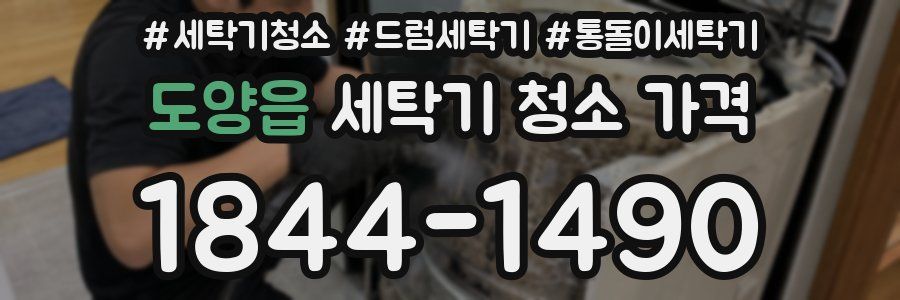 도양읍 세탁기 청소 가격