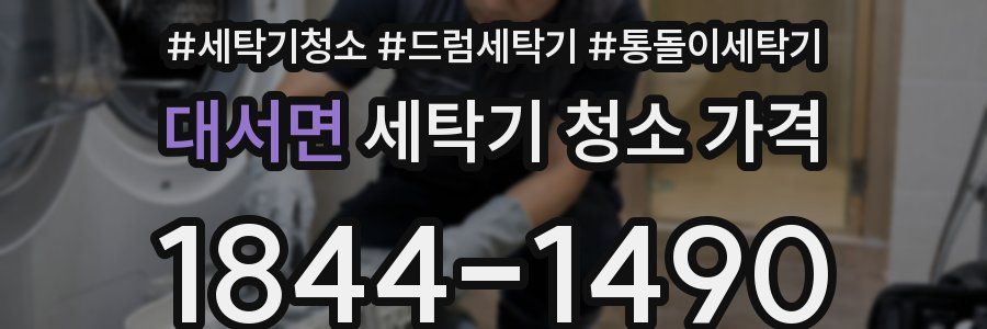대서면 세탁기 청소 가격