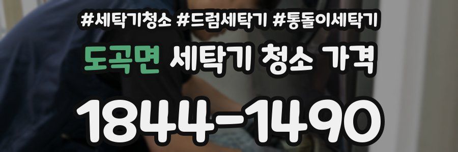 도곡면 세탁기 청소 가격