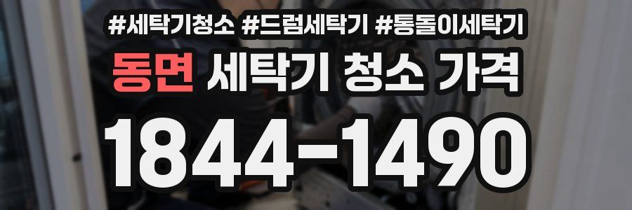 동면 세탁기 청소 가격
