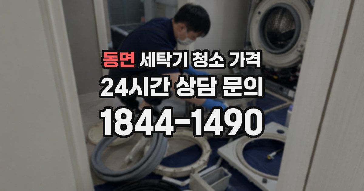 동면 세탁기 청소 가격