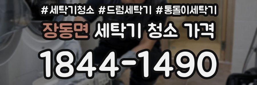 장동면 세탁기 청소 가격