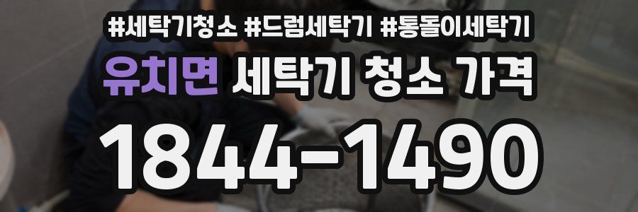 유치면 세탁기 청소 가격