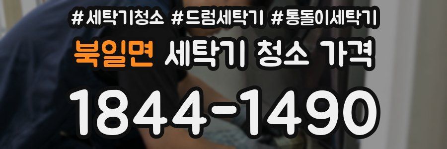 북일면 세탁기 청소 가격