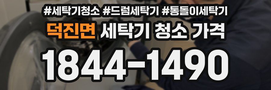 덕진면 세탁기 청소 가격