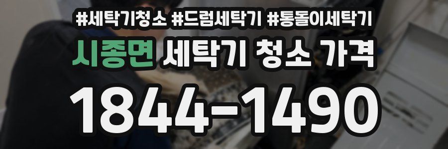 시종면 세탁기 청소 가격
