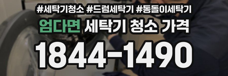 엄다면 세탁기 청소 가격