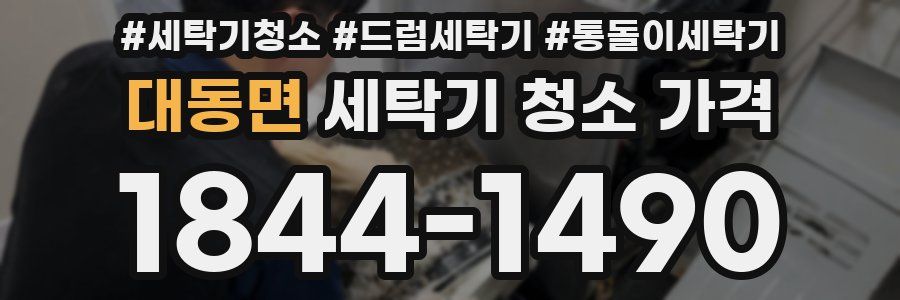 대동면 세탁기 청소 가격
