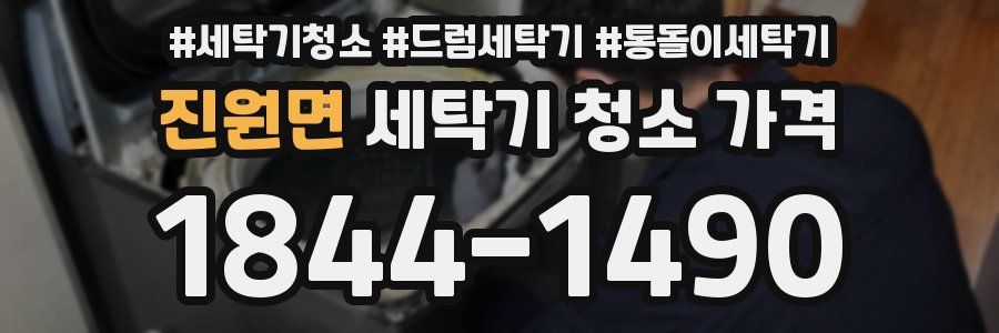 진원면 세탁기 청소 가격