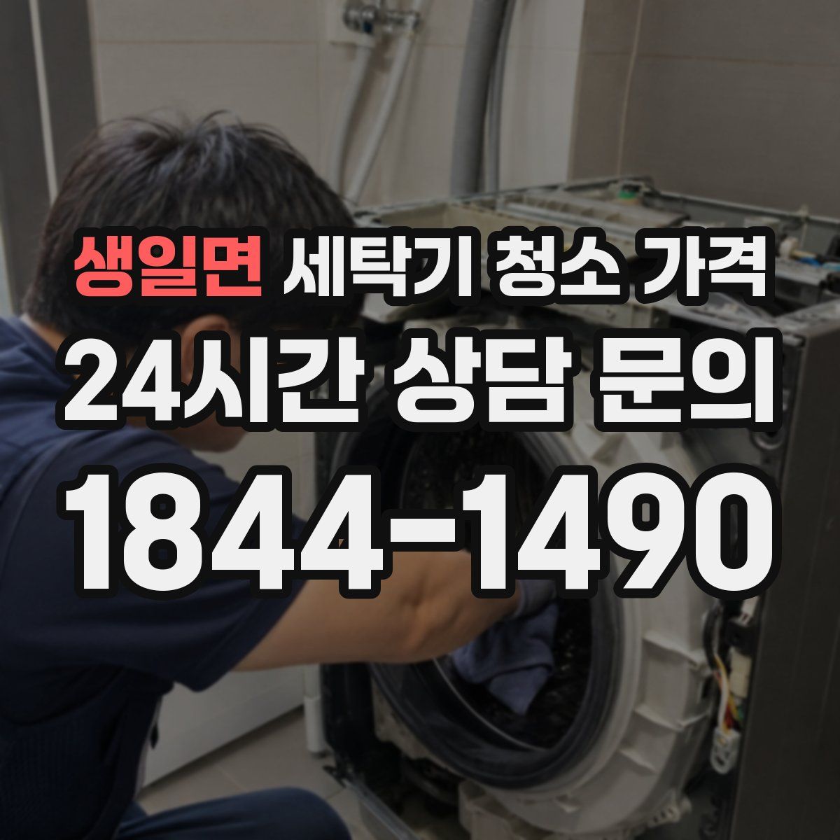 생일면 세탁기 청소 가격