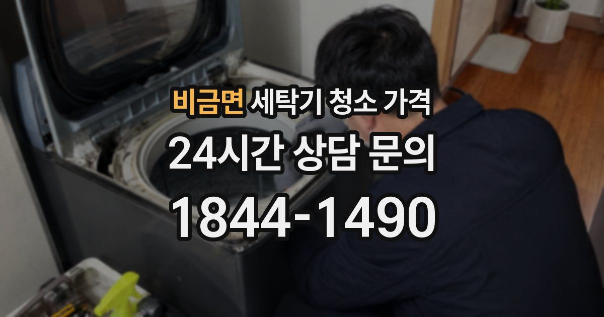 비금면 세탁기 청소 가격