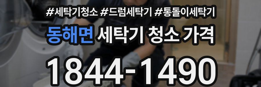 동해면 세탁기 청소 가격