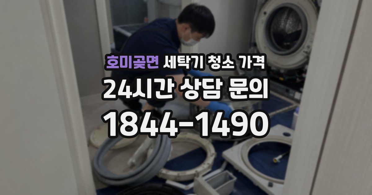 호미곶면 세탁기 청소 가격