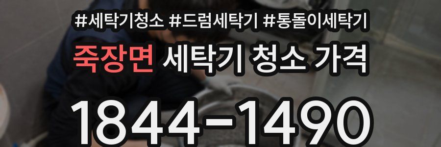죽장면 세탁기 청소 가격
