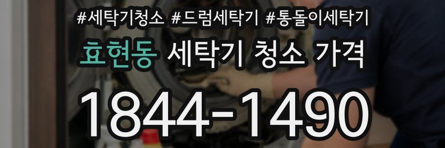 효현동 세탁기 청소 가격