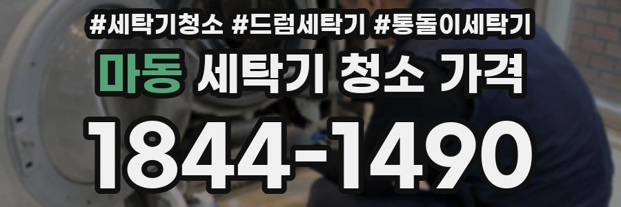 마동 세탁기 청소 가격