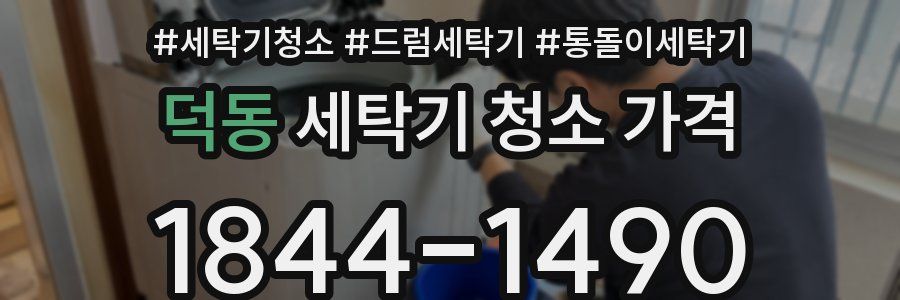 덕동 세탁기 청소 가격