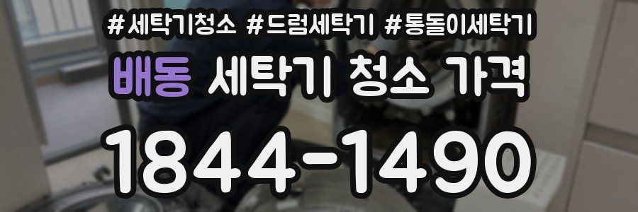 배동 세탁기 청소 가격