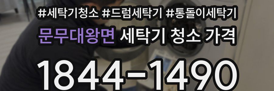 문무대왕면 세탁기 청소 가격