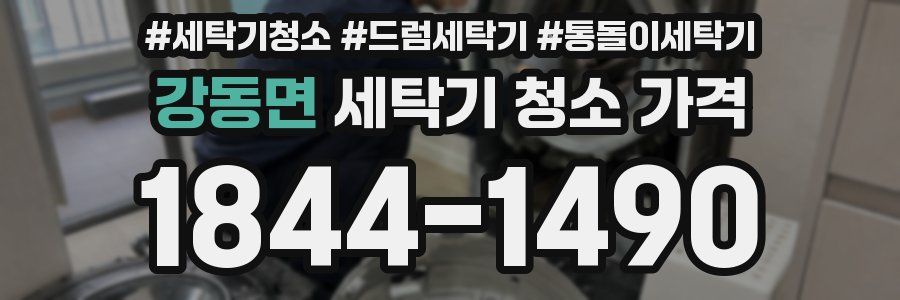 강동면 세탁기 청소 가격