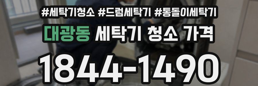 대광동 세탁기 청소 가격