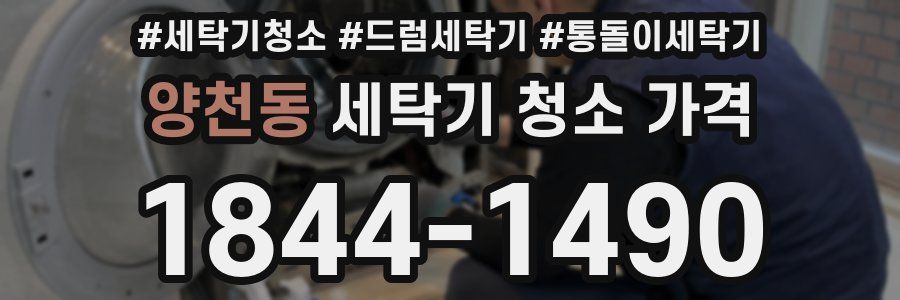 양천동 세탁기 청소 가격