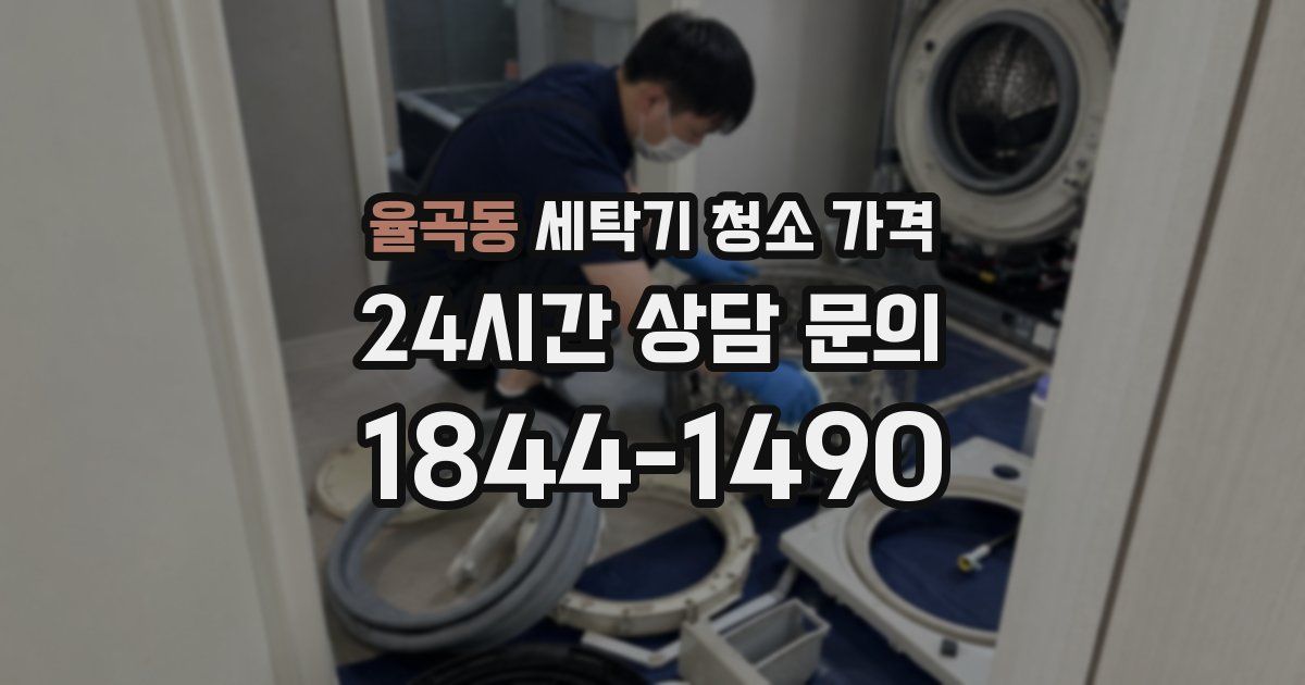 율곡동 세탁기 청소 가격