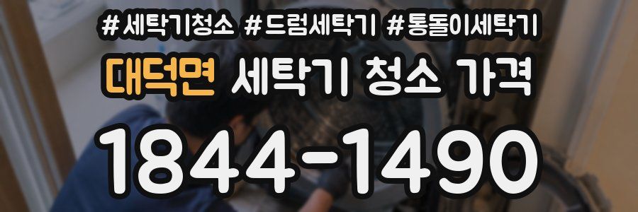대덕면 세탁기 청소 가격