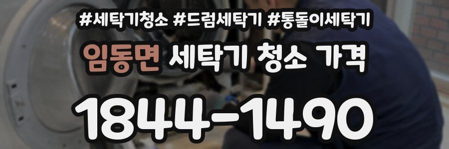 임동면 세탁기 청소 가격